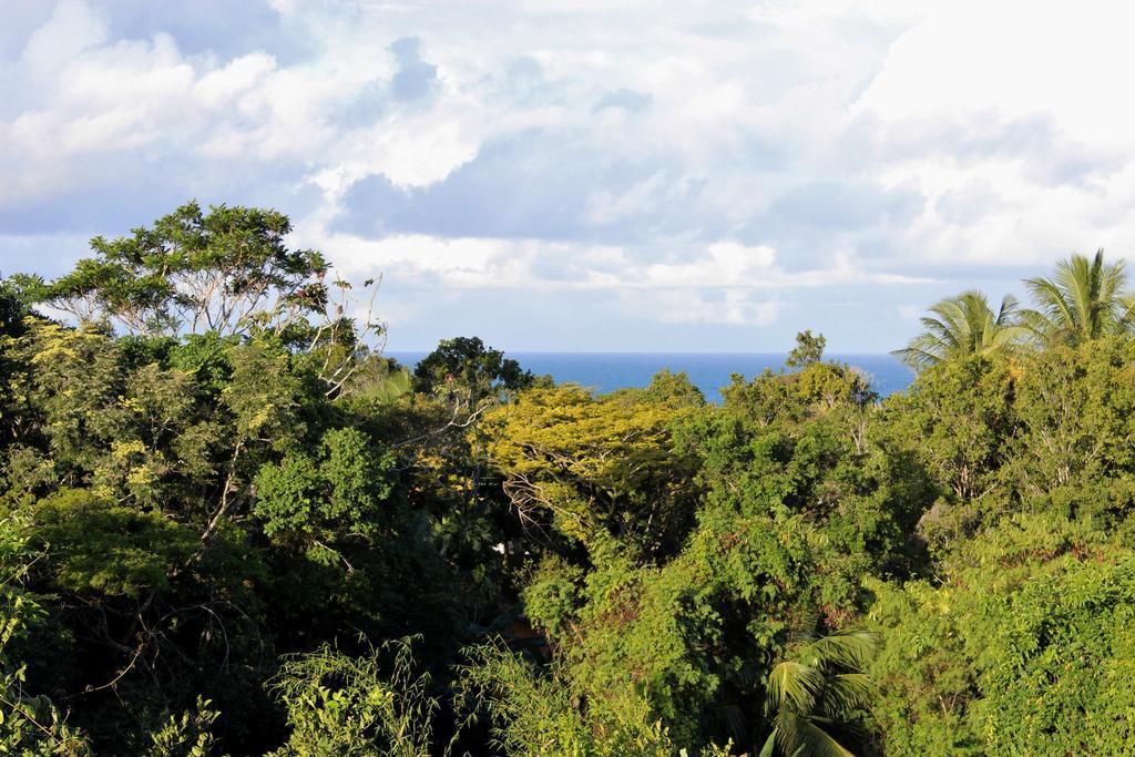 Novos Baianos Hostel E Pousada Porto Seguro Exterior photo View of the rainforest from the summit of Mount Banda Banda